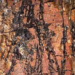 Red Rock with Black Lines on Storoen Island