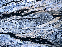 Filigreed Rock Surface