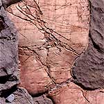 Cracked Concretion