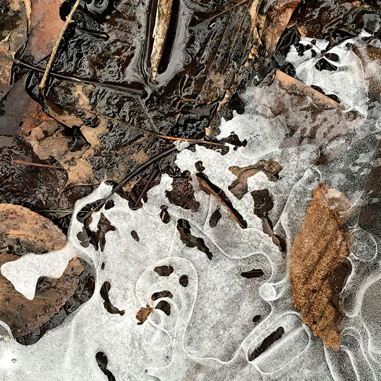 Ice and Frozen Mud