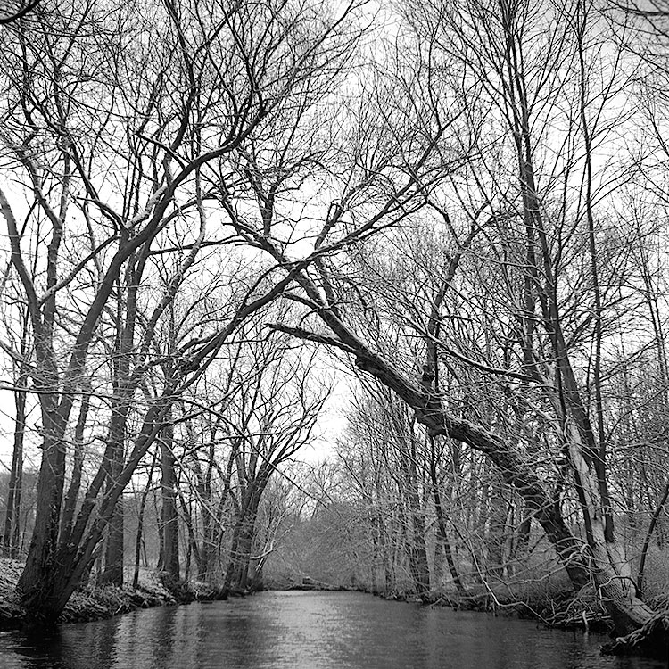 Woonasquatucket River in Winter