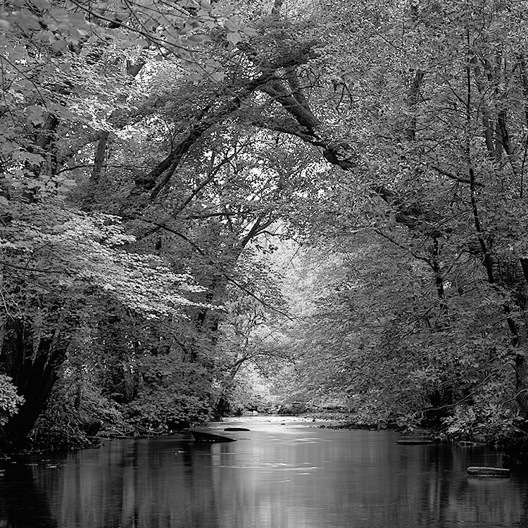 Woonasquatucket River in Summer