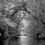 Woonasquatucket River in Summer