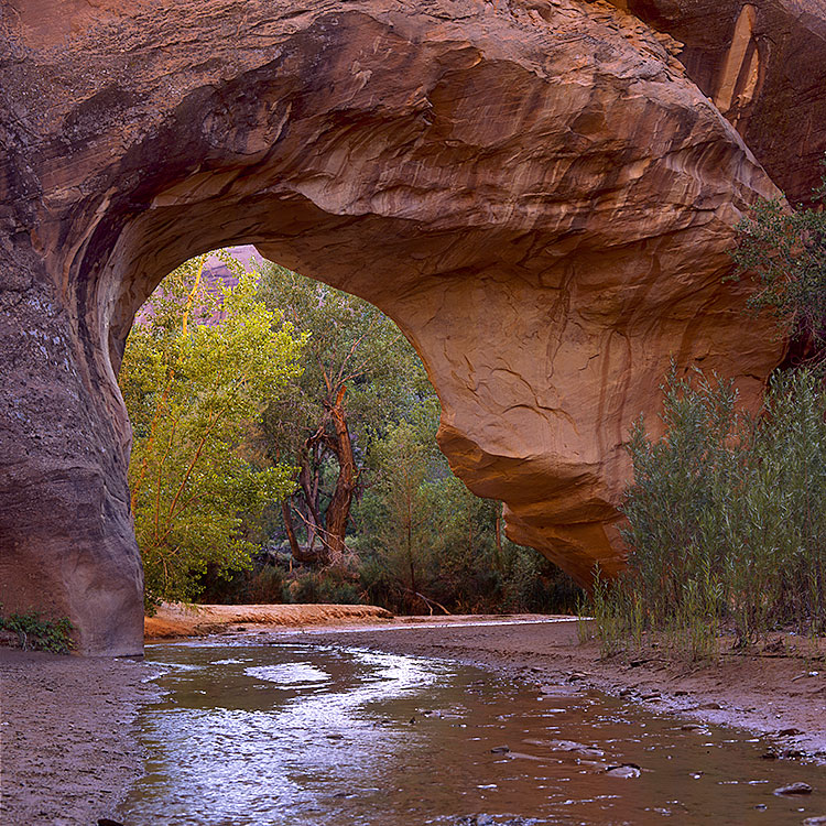 Coyote Natural Bridge