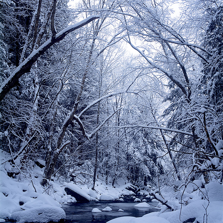 Snow along the Little River