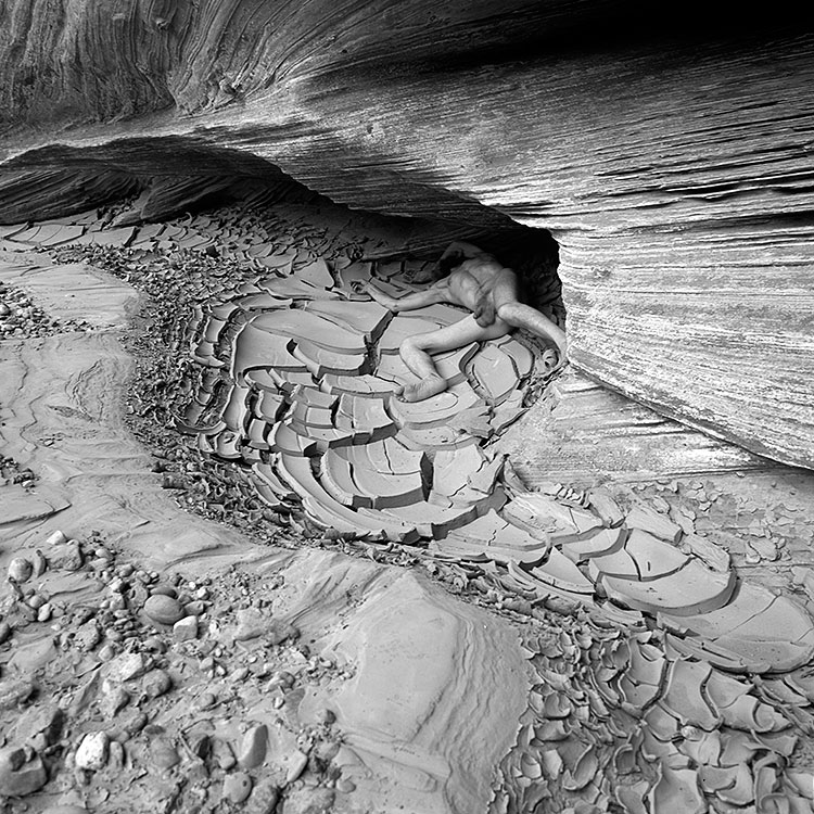 Mud Cracks Left by a Flood