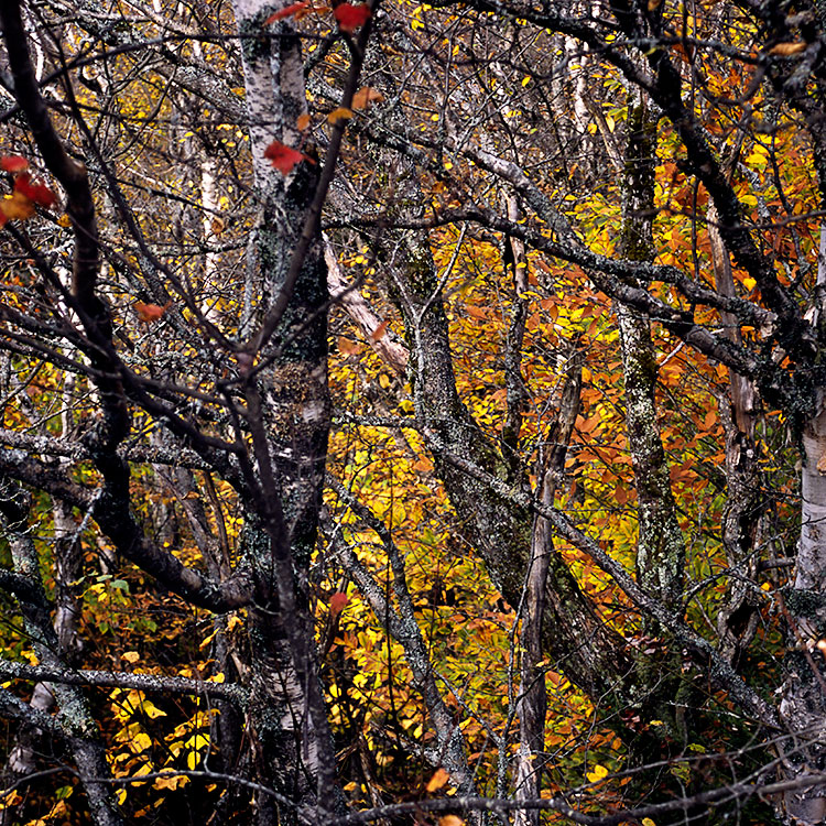 Fall on Long Pond Mountain