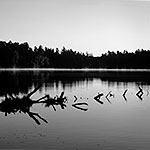 Morning on Long Pond