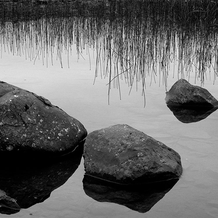 Grass, Rocks, Water