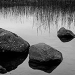 Grass, Rocks, Water