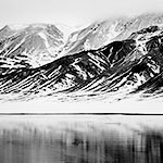 Snowy Mountains, Geese in Flight